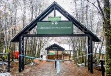 Inauguran nueva estación del Tren de Fin del Mundo