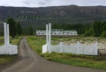 Hallaron un nuevo dinosaurio en Santa Cruz La estancia Anita cerca de El Calafate -