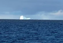 Alertan en Tierra del Fuego por un iceberg que flota cerca de la Isla de los Estados Alertan en Tierra del Fuego por un iceberg que flota cerca de la Isla de los Estados