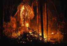Incendio forestal en Mato Grosso del Sur afecta territorio boliviano Incendio forestal en Mato Grosso del Sur afecta territorio boliviano
