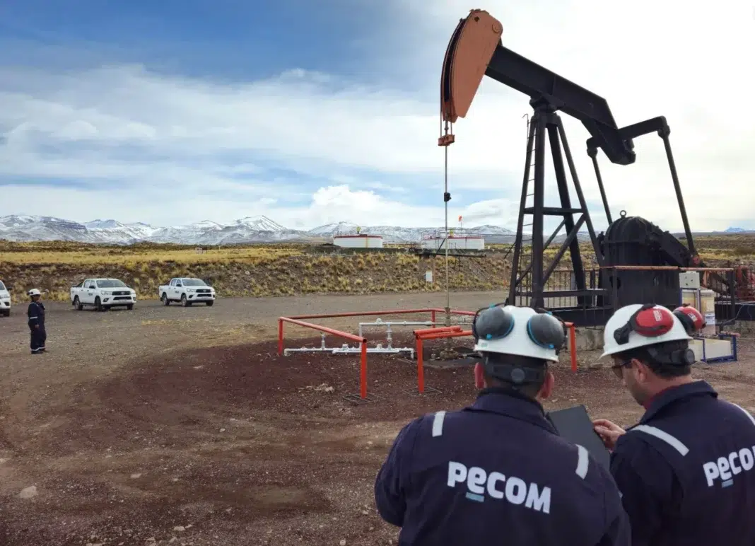 Pecom desembolsará 114 millones de dólares por áreas de YPF en Chubut