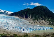 Alaska: glaciares del campo de hielo de Juneau en punto crítico de desaparición Alaska: glaciares del campo de hielo de Juneau en punto crítico de desaparición