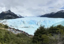 Alta “sensibilidad” de Parques Nacionales: prohíben concierto frente al Glaciar, pero silencian la contaminación del Lago Argentino El Glaciar Perito Moreno - Foto: OPI Santa Cruz/Francisco Muñoz