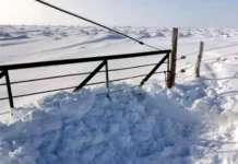 Buscan a tres trabajadores perdidos tras temporal de nieve Buscan a tres trabajadores perdidos tras temporal de nieve