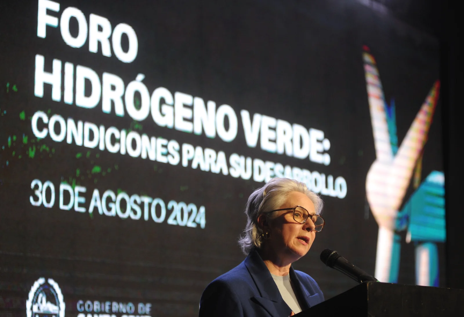 “La Argentina puede ser un gran proveedor de hidrógeno verde al mundo”, afirmó la jefa de cooperación de la UE en Argentina - Foto: OPI Santa Cruz/Francisco Muñoz “La Argentina puede ser un gran proveedor de hidrógeno verde al mundo”, afirmó la jefa de cooperación de la UE en Argentina - Foto: OPI Santa Cruz/Francisco Muñoz
