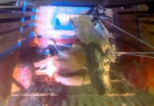 Demoran una camioneta en Caleta Olivia por caza ilegal Demoran una camioneta en Caleta Olivia por caza ilegal
