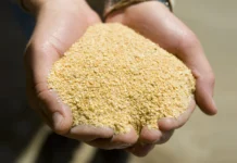Aumento del 46% en exportaciones de harina de soja impulsa a Argentina a la cima del mercado global Aumento del 46% en exportaciones de harina de soja impulsa a Argentina a la cima del mercado global
