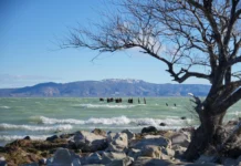 Interrumpen por 24 horas el suministro de agua potable en Caleta Olivia El Lago Munster en Chubut -
