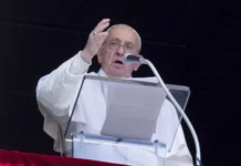 El Papa Francisco hace un llamado a la paz en Venezuela y solicita evitar la violencia El Papa Francisco hace un llamado a la paz en Venezuela y solicita evitar la violencia - Foto: NA