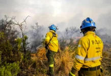 Detienen a joven acusado de provocar incendio en Capilla del Monte, Córdoba - Foto: NA