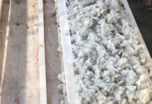 Cooperativa Lanera Trelew presentará aislantes térmicos naturales Cooperativa Lanera Trelew presentará aislantes térmicos naturales