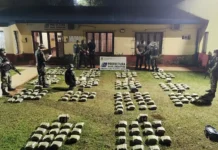 Incautan 189 kilos de marihuana en operativos de Prefectura Naval en Misiones y Chaco Incautan 189 kilos de marihuana en operativos de Prefectura Naval en Misiones y Chaco