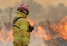 Proponen declarar zona de desastre en Córdoba por los incendios forestales Proponen declarar zona de desastre en Córdoba por los incendios forestales