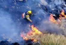 Fuerte reclamo de Luis Juez a Milei por la falta de ayuda en Córdoba Incendios en Córdoba - Foto: NA