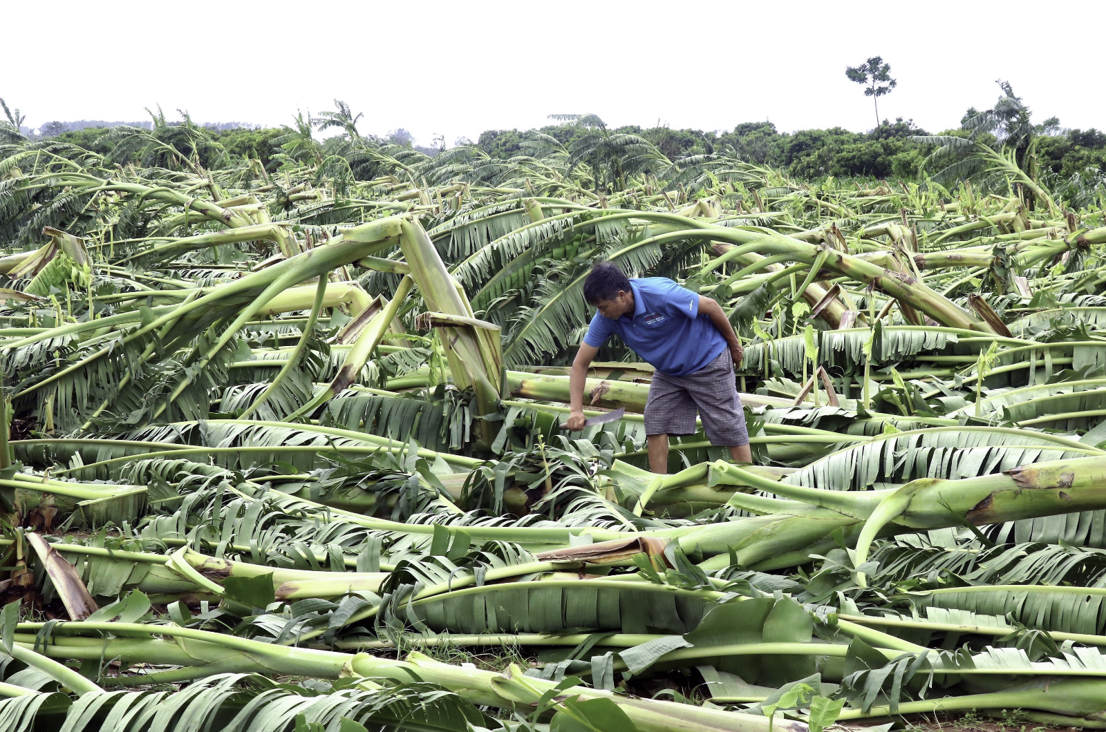 Vietnam sufre las consecuencias del tifón más fuerte en 30 años - Foto: NA Vietnam sufre las consecuencias del tifón más fuerte en 30 años - Foto: NA