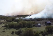 Brigadistas de Chubut se despliegan en Río Pico para sofocar incendio forestal Brigadistas de Chubut se despliegan en Río Pico para sofocar incendio forestal