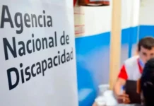 Detectan irregularidades en 200 mil pensiones por discapacidad Detectan irregularidades en 200 mil pensiones por discapacidad