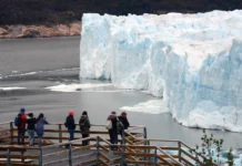 El Glaciar Perito Moreno en el Parque Nacional Los Glaciares - Foto: OPI Santa Cruz/Francisco Muñoz