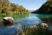 Condenan a un ex brigadista por daños en el Parque Nacional Los Alerces El Parque Nacional Los Alerces volverá a cobrar el ingreso