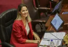 Ley laboral busca eliminar discrecionalidad judicial en liquidaciones finales La senadora radical Carolina Losada - Foto: NA