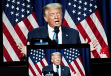 Donald Trump gana las elecciones presidenciales EE.UU. - Foto: NA