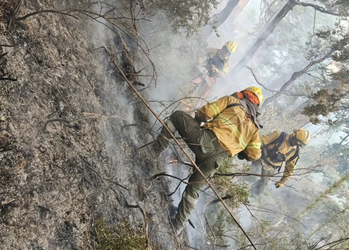 Peligra una planta de gas en El Bolsón (RN) debido al incendio forestal