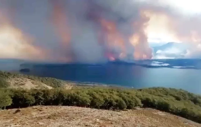 Incendio forestal en cercanías de Paso Bellavista