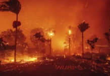 Rápido incendio forestal en Los Ángeles provoca evacuaciones urgentes