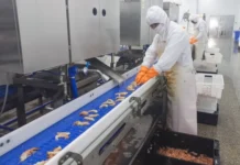 Buscan reubicar plantas pesqueras de Puerto Madryn en el parque industrial pesado