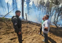 “Quieren sembrar terror”: Torres denuncia ataques incendiarios en Chubut "Quieren sembrar terror": Torres denuncia ataques incendiarios en Chubut