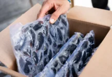 La industria pesquera de Tierra del Fuego crece con exportaciones de mejillones listos para consumo La industria pesquera de Tierra del Fuego crece con exportaciones de mejillones listos para consumo
