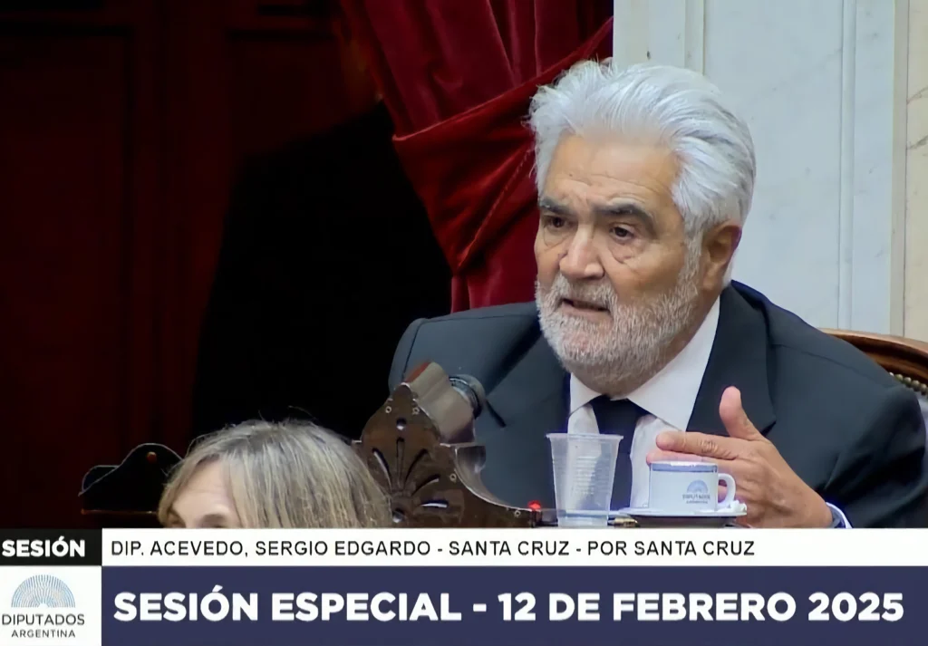 El Diputado del SER Santa Cruz, Sergio Acevedo -