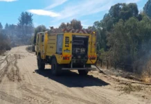 Quedan dos focos activos del incendio en el Parque Nacional Los Alerces Detectan nuevo incendio en el Parque Nacional Los Alerces
