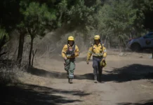 Continúa el incendio en el Parque Nacional Los Alerces Esperanza por los anuncios de lluvias en la cordillera, incendios desbordados y recompensa por los culpables
