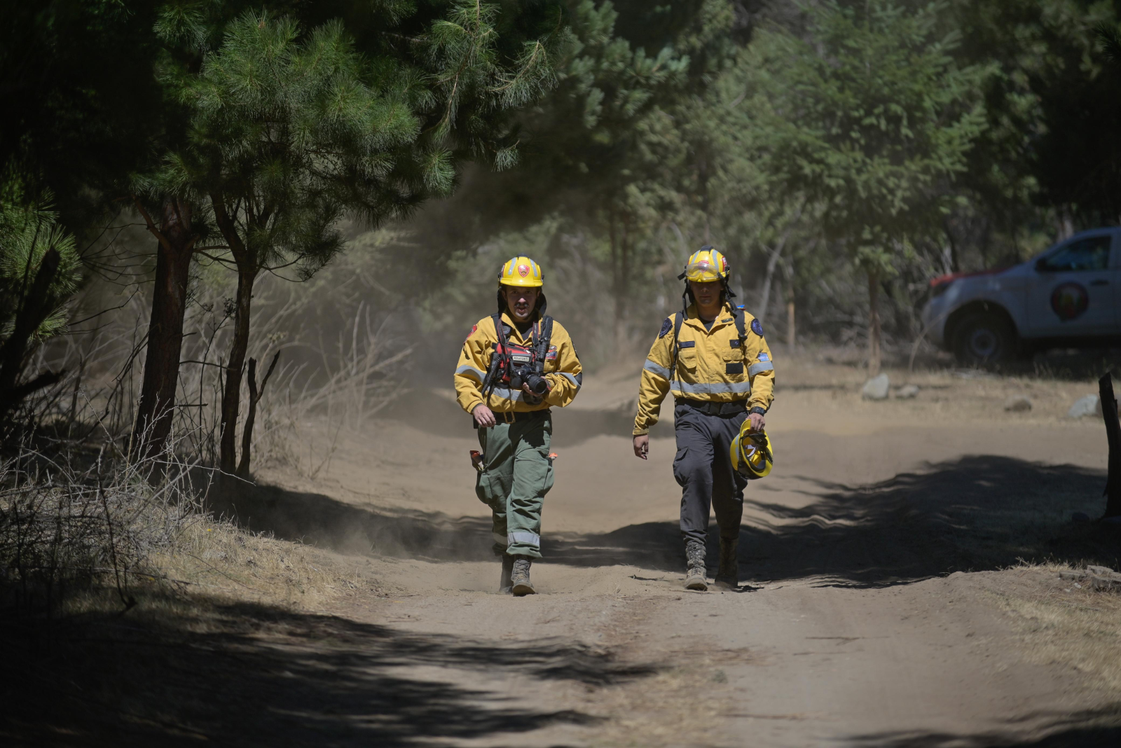 Esperanza por los anuncios de lluvias en la cordillera, incendios desbordados y recompensa por los culpables Esperanza por los anuncios de lluvias en la cordillera, incendios desbordados y recompensa por los culpables