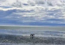 Rescatan a un hombre que intentó arrojarse al mar Rescatan a un hombre que intentó arrojarse al mar