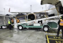 El Gobierno avanza con la privatización total de Intercargo El Gobierno avanza con la privatización total de Intercargo - Foto: NA