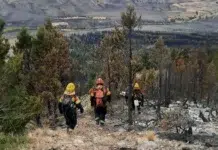 Tras días de arduo esfuerzo, el incendio forestal de Trevelin, Chubut, está bajo control Tras días de arduo esfuerzo, el incendio forestal de Trevelin, Chubut, está bajo control