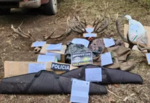 Policía desarmó un campamento de caza furtiva en Esquel Policía desarmó un campamento de caza furtiva en Esquel