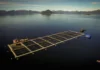 Impulsan una planta salmonera que podría generar 250 puestos de trabajo en Río Grande Gobierno fueguino pide modificar ley Anti Salmoneras