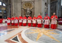 Vaticano confirma fecha del cónclave para elegir al sucesor del papa Francisco Vaticano confirma fecha del cónclave para elegir al sucesor del papa Francisco - Foto: NA