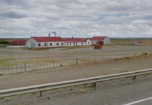 Denuncian ataque de jauría a ovejas en Güer Aike Denuncian ataque de jauría a ovejas en Güer Aike