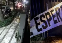 Detuvieron a una funcionaria bonaerense por el ataque con excremento a la casa de José Luis Espert Detuvieron a una funcionaria bonaerense por el ataque con excremento a la casa de José Luis Espert