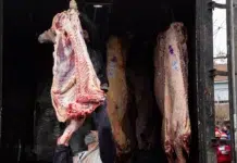 Justicia Federal anuló la resolución que permite el ingreso de carne con hueso a Santa Cruz El Consejo Agrario Provincial y productores evalúan acciones por el fin de la barrera zoofitosanitaria