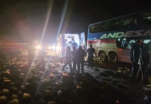 La respuesta sanitaria en el luctuoso accidente de un micro y un camión en la ruta nacional N° 3, dejó interrogantes y demostró más voluntarismo que organización La respuesta sanitaria en el luctuoso accidente de un micro y un camión en la ruta nacional N° 3, dejó interrogantes y demostró más voluntarismo que organización