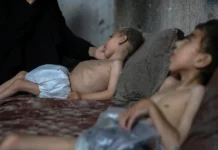 La OMS advierte que la desnutrición en Gaza alcanza niveles críticos: 63 muertes en julio La OMS advierte que la desnutrición en Gaza alcanza niveles críticos: 63 muertes en julio