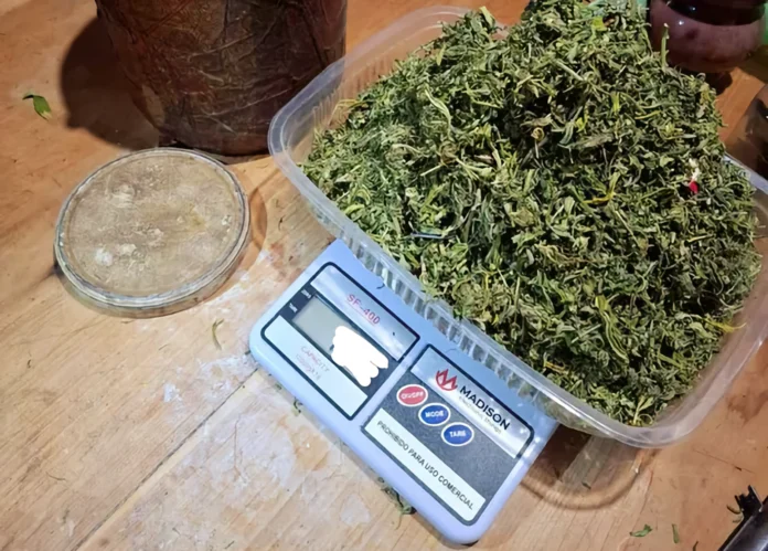 Secuestran marihuana y detienen a dos personas por venta de drogas en Esquel