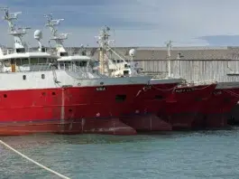 Conflicto por la zafra del langostino: amenazas, protestas y flota paralizada