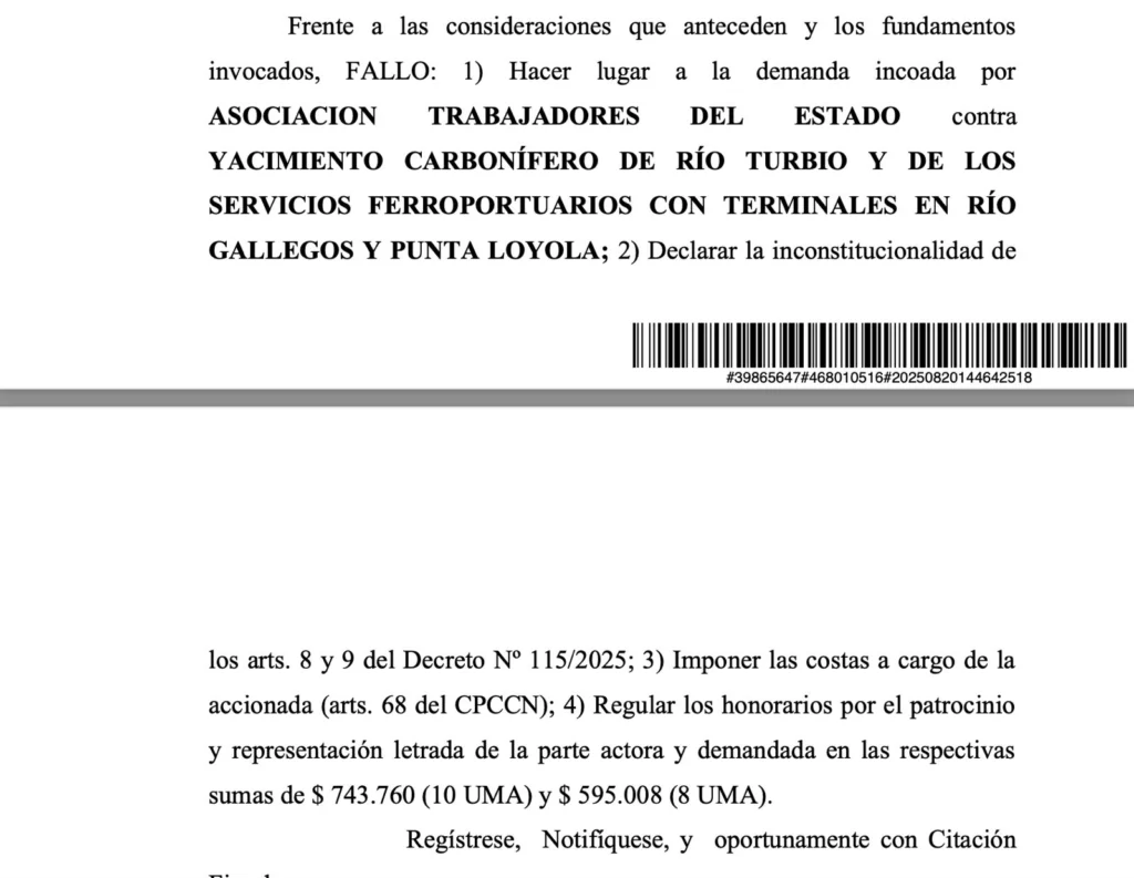 La justicia declaró la inconstitucionalidad de dos artículos del Decreto 115/25 de creación de la Carboeléctrica