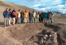 Anunciarán nuevo descubrimiento paleontológico en Santa Cruz Anunciarán nuevo descubrimiento paleontológico en Santa Cruz